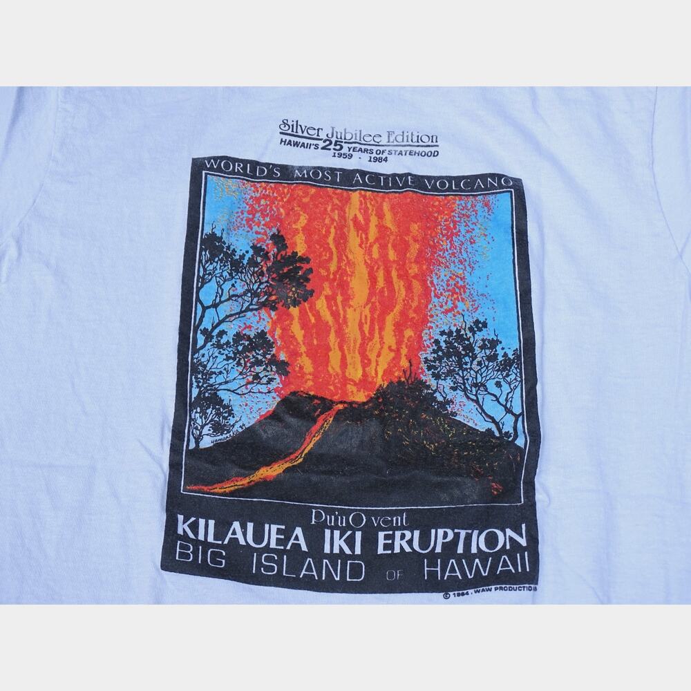 Vtg 1984 Hanes Beefy T Hawaii Volcano Tee Medium 80s Statehood Jubilee Gray USA
